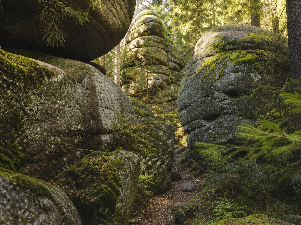 Bemooste Granitblöcke im Fichtenwald, ein schmaler Wanderpfad führt zwischen den Felsen hindurch (mit AI erstelltes Bild)